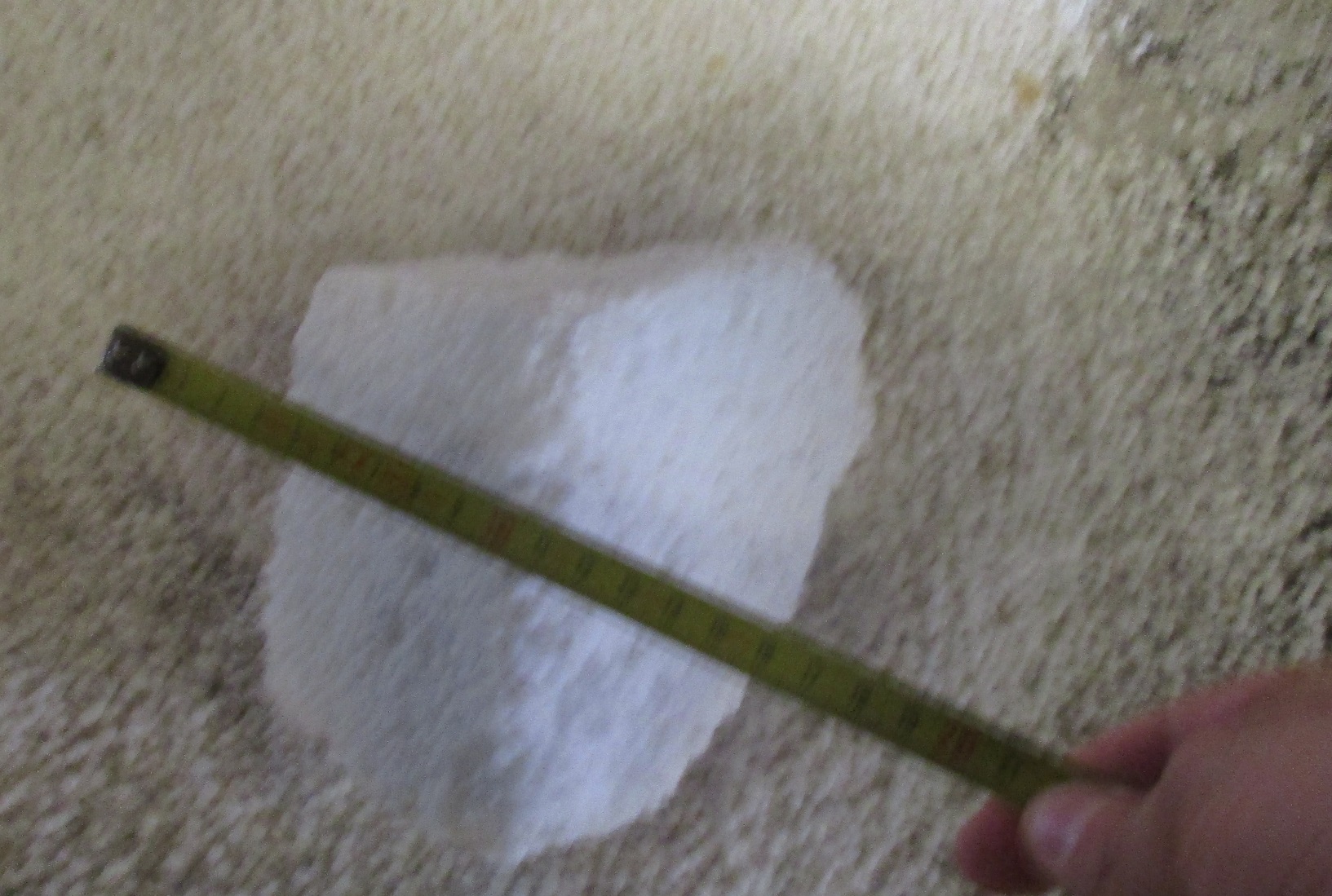 marine-surveyor-castellon-urea-damage-spain